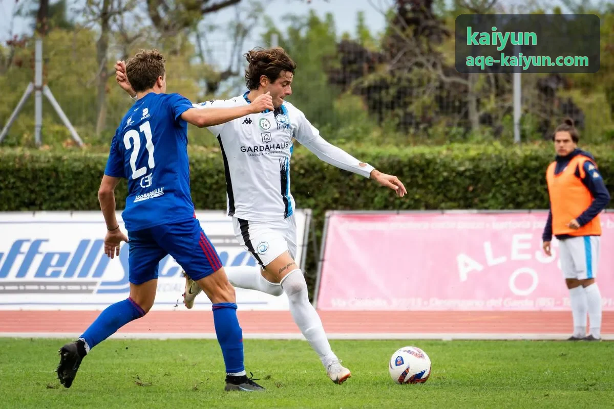 kaiyun 预算执行与成效偏差追踪仪表