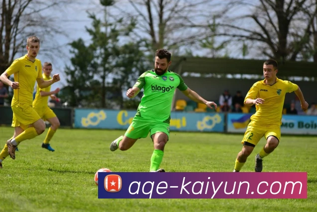 开云平台生态图